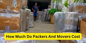 How Much Do Packers And Movers Cost