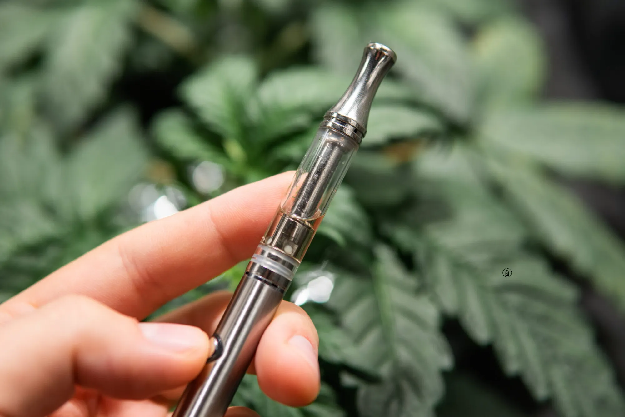  Do THC Vape Pens Affect Memory?