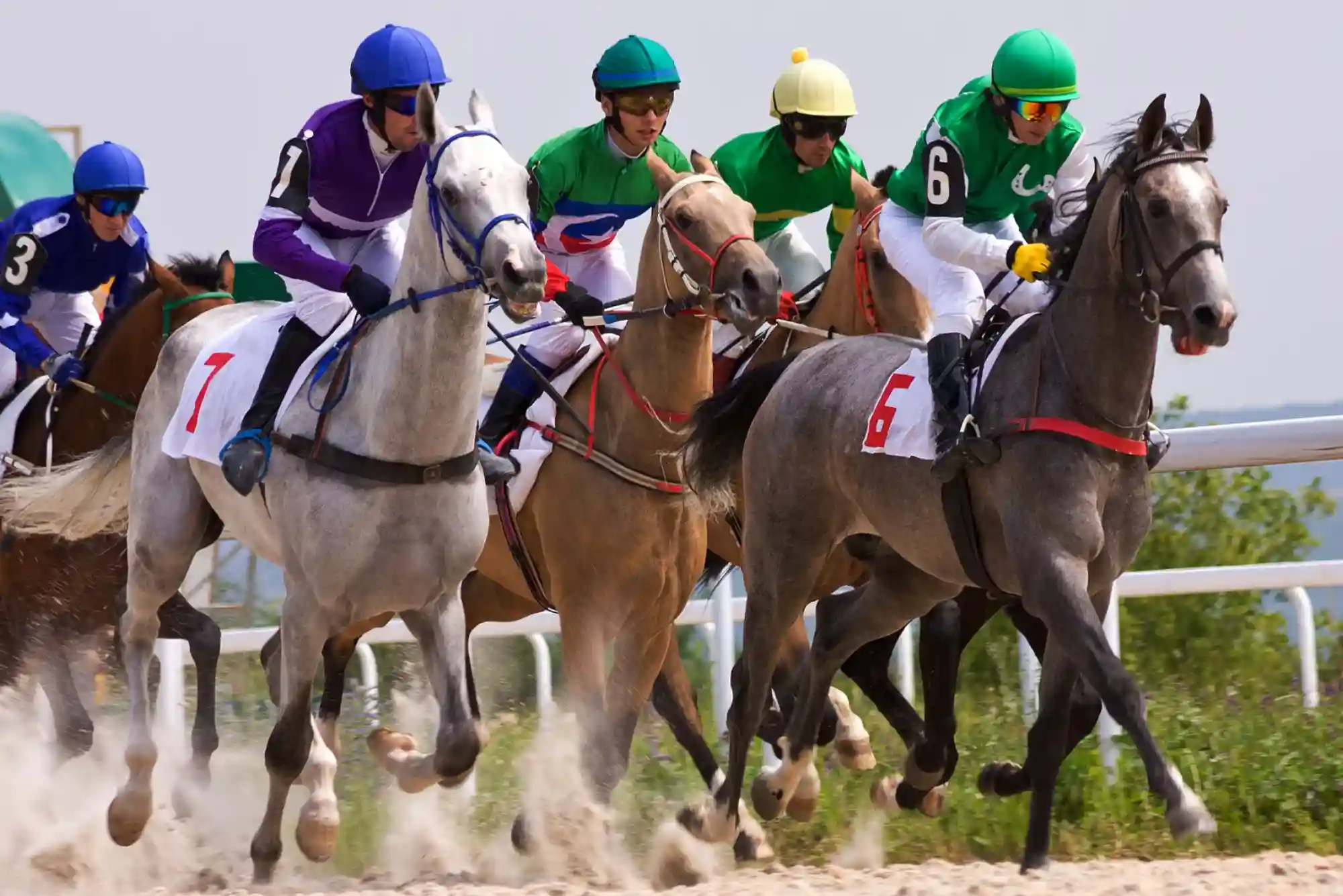 Where Can I Place Safe Bets on Horse Racing Online?